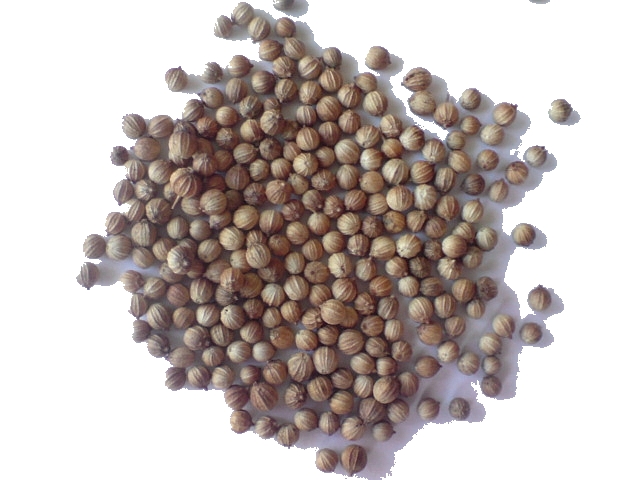 400g-Koriander-ganz-bio-cilantro-coriandolo-15-75-kg